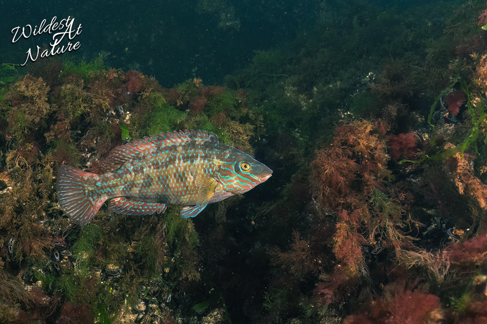 20260220 SaschaBöhme1 2