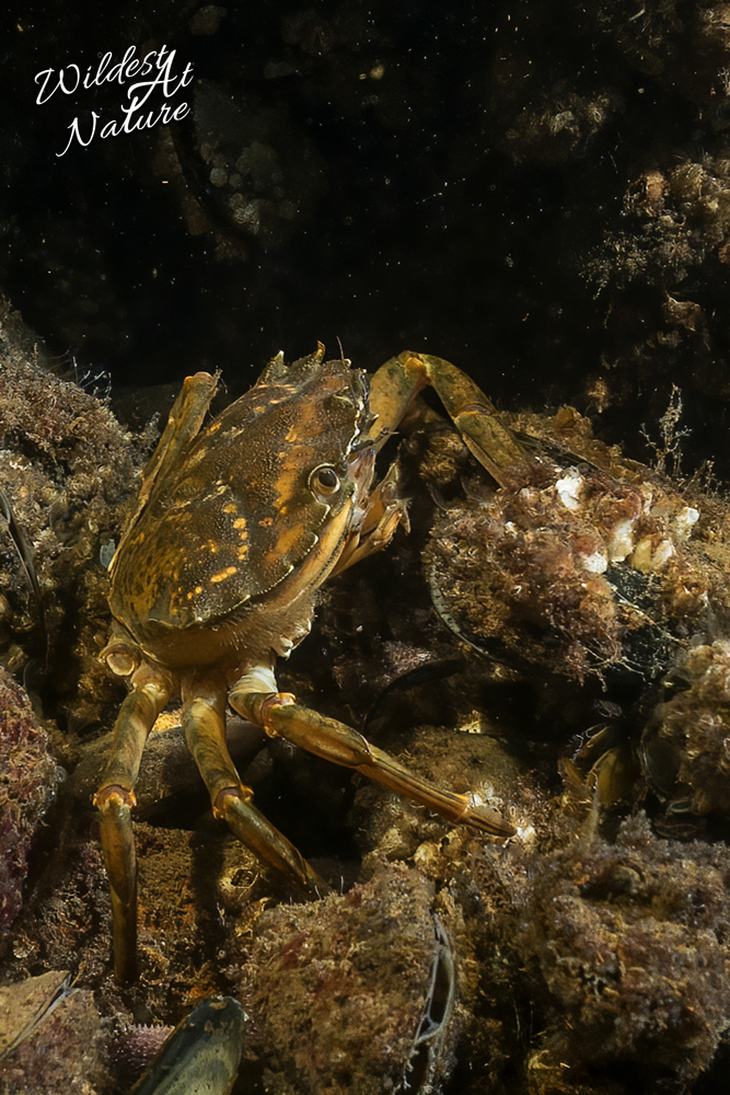 20260220 SaschaBöhme1 4