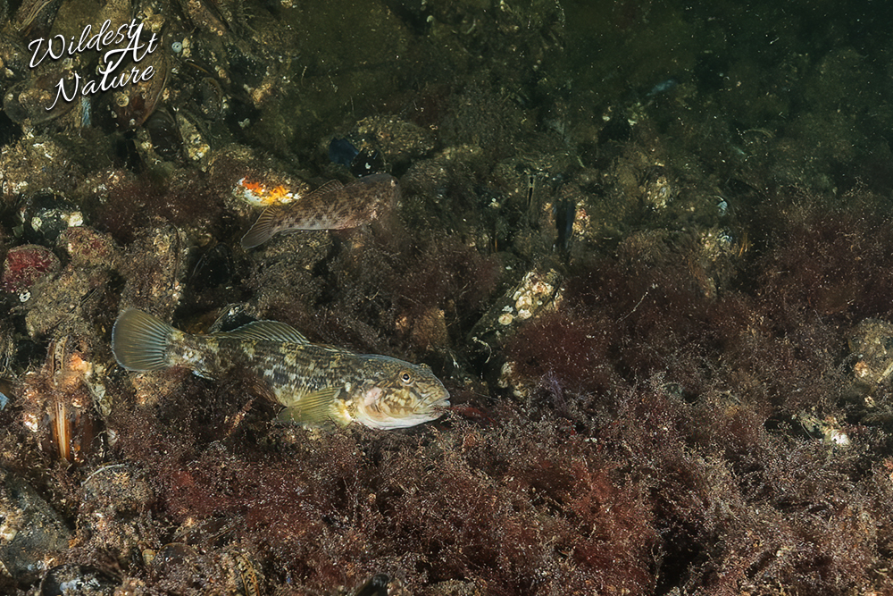 20260220 SaschaBöhme1 6